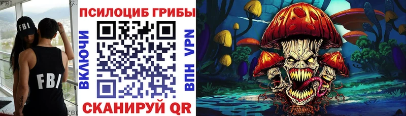 ОМГ ОМГ как зайти Усть-Лабинск Галлюциногенные грибы прущие грибы