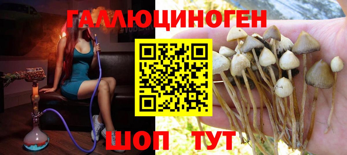 Псилоцибиновые грибы ЛСД Усть-Лабинск