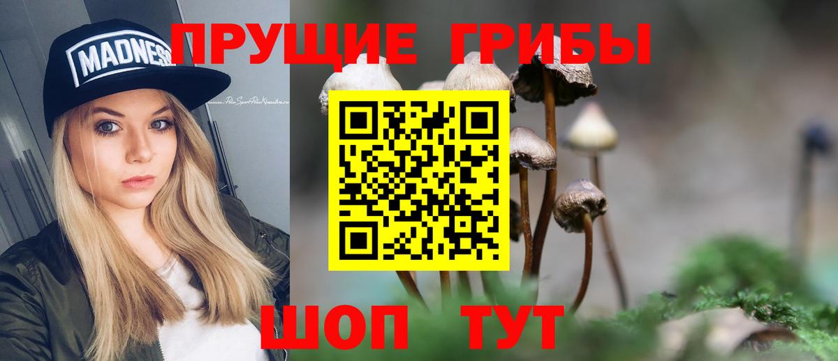Галлюциногенные грибы Psilocybe  Вход с VPN  Усть-Лабинск  Галлюциногенные грибы MAGIC MUSHROOMS 